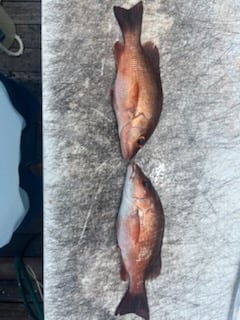 Fishing in Wellington, Florida