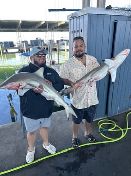 Fishing in Galveston, Texas