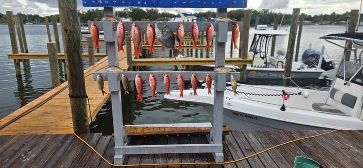 Fishing in Panama City, Florida