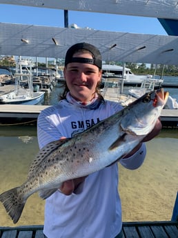 Fishing in Orange Beach, Alabama