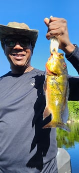 Fishing in Deerfield Beach, Florida