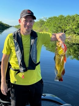 Fishing in Everglades City, Florida