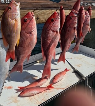 Fishing in Destin, Florida