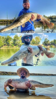 Alligator Gar Fishing in Dallas, Texas