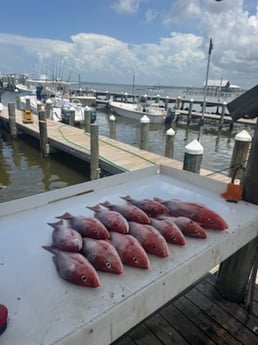 Fishing in Gulf Shores, Alabama