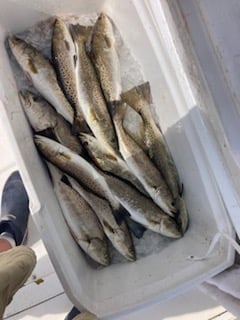 Fishing in Wanchese, North Carolina