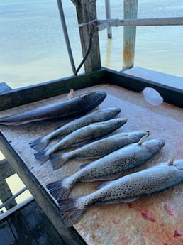 Redfish fishing in Ingleside, Texas