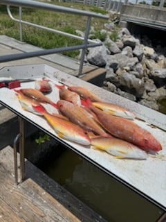 Fishing in Port Orange, Florida