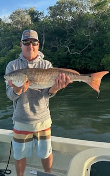 Fishing in Bradenton, Florida