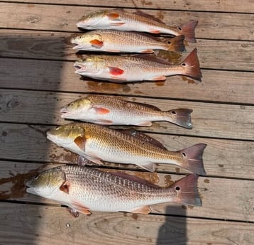 Fishing in Weslaco, Texas