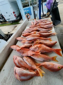 Fishing in Key Biscayne, Florida