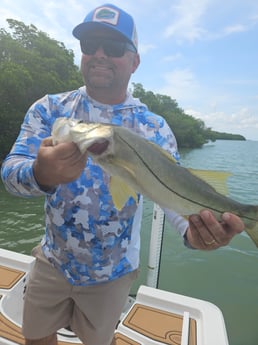 Snook Fishing in Port Orange, Florida