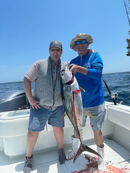 Yellowfin Tuna Fishing in Boothville-Venice, Louisiana