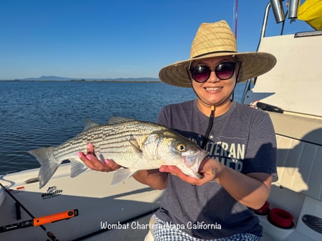 Fishing in Napa, California