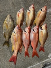 Fishing in Port Orange, Florida