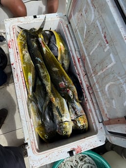 Fishing in Big Pine Key, Florida