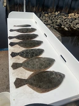 Flounder fishing in Little River, South Carolina