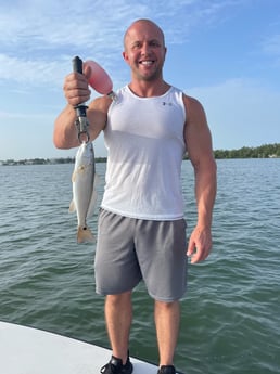 Redfish Fishing in Sarasota, Florida