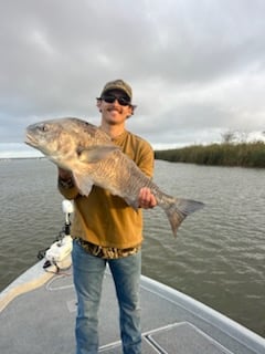 Black Drum Fishing in Boothville, Louisiana, USA