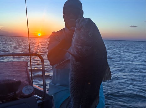 Fishing in Corpus Christi, Texas