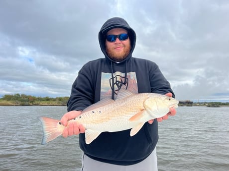 Redfish Fishing in Port Arthur, Texas