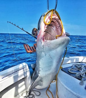 Fishing in Pompano Beach, Florida