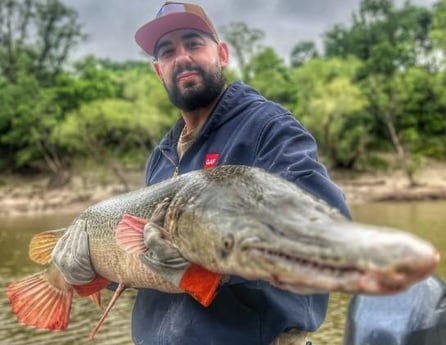Alligator Gar Fishing in Dallas, Texas