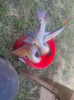 Fishing in Rockport, Texas