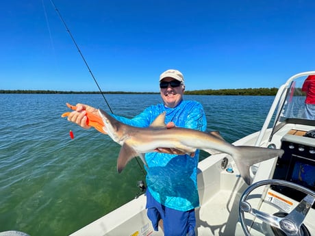 Fishing in Tampa, Florida