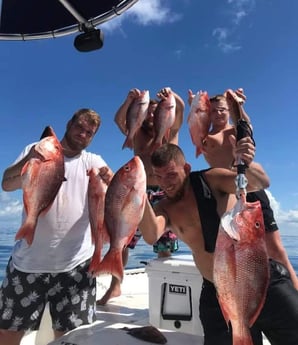 Fishing in Panama City, Florida