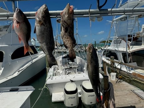 Fishing in Islamorada, Florida
