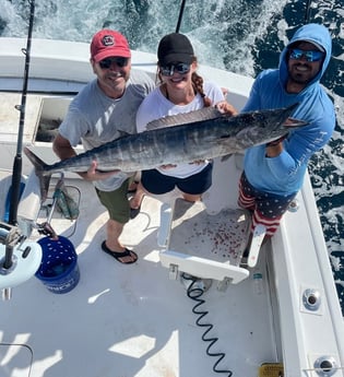 Wahoo Fishing in Pompano Beach, Florida