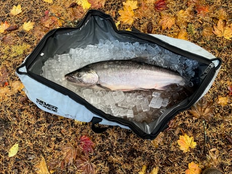 Fishing in Damascus, Oregon