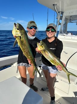 Fishing in Islamorada, Florida