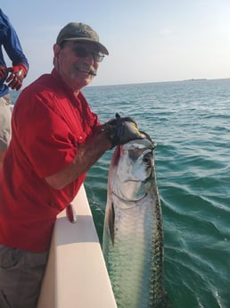 Tarpon Fishing in Key West, Florida