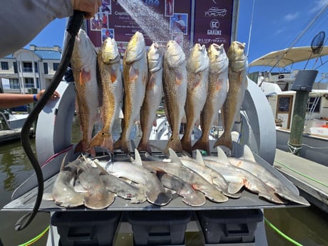 Fishing in Biloxi, Mississippi