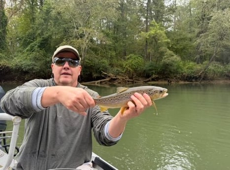 Fishing in Roswell, Georgia