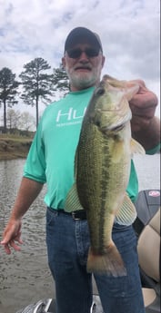 Largemouth Bass fishing in Lake Fork, Texas