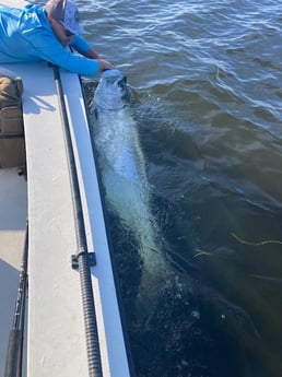 Fishing in Crawfordville, Florida