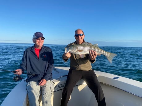 Striped Bass fishing in Nantucket, Massachusetts