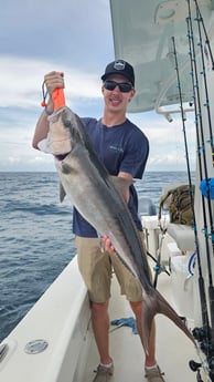 Amberjack Fishing in