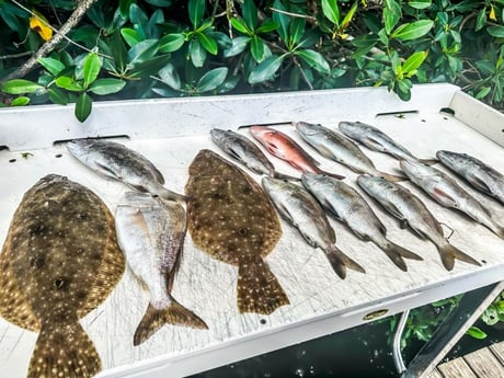 Fishing in Bay Pines, Florida