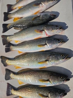 Fishing in Howard, New York