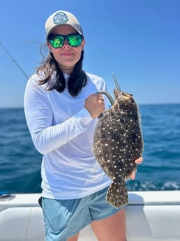 Fishing in Port Orange, Florida