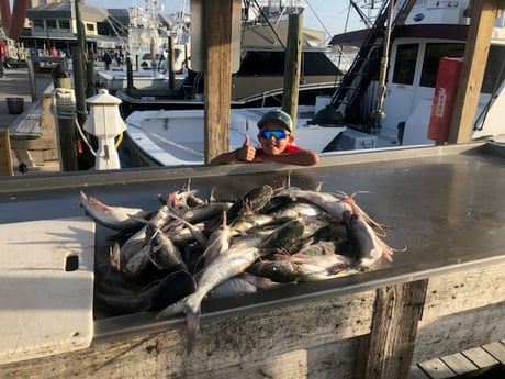 Fishing in Orange Beach, Alabama
