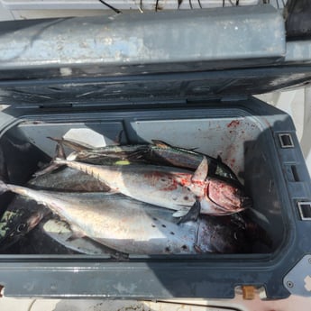 Fishing in Crestview, Florida