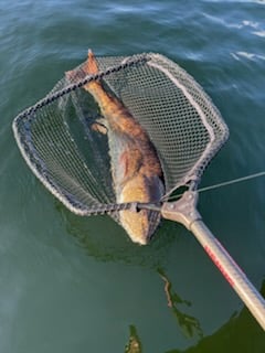 Fishing in Panama City Beach, Florida