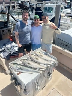 Fishing in Hampton Bays, New York