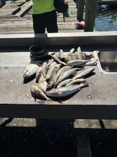 Fishing in Lake Charles, Louisiana