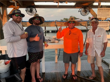 Hardhead Catfish Fishing in Orange Beach, Alabama